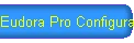 Eudora Pro Configuration Instructions