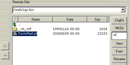 /web/cgi-bin folder on remote site